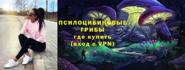 соль ск Зеленокумск